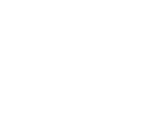 DNC — Defaf Al-Nahrayn